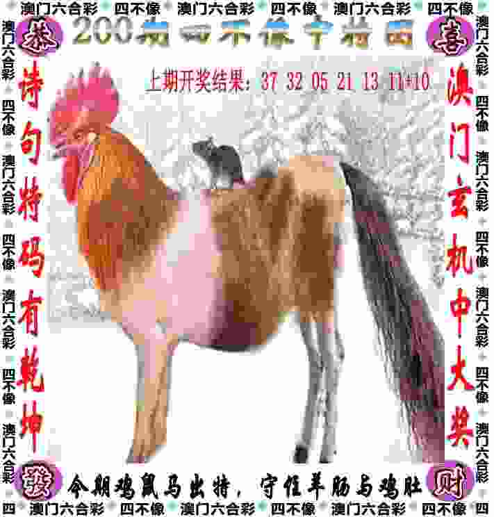 7777788888管家婆老家国际版下载-新门内部资料免费更新国际版下载安装 v2   .45   .562   -2278安卓网